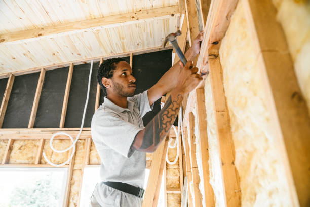 Best Insulation Contractor Near Me  in Mayo, SC