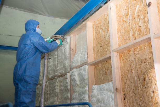 Best Insulation Installation Cost  in Mayo, SC