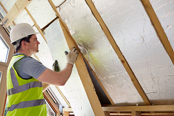 Best Local Insulation Services  in Mayo, SC