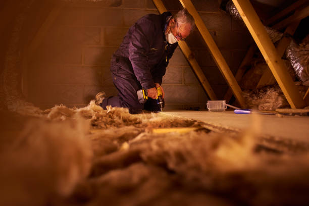 Best Blown-in Insulation  in Mayo, SC